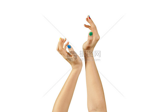 美丽的女人手和修指甲的美人手手臂皮肤手腕美甲女士女孩手指化妆品抛光棕榈图片