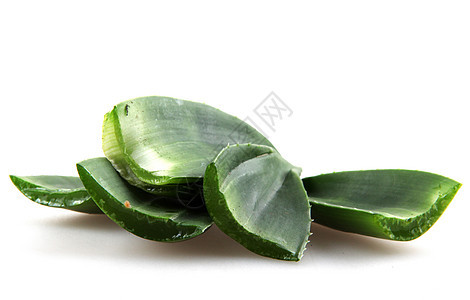 白上隔离的 Aloe vera 植物沙漠叶子治愈化妆品植物学果汁药品护理草本植物生长图片