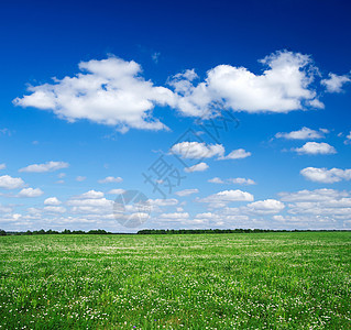 绿绿地农场天气植物晴天牧场草地土地天空国家季节图片