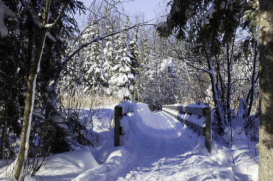 冬季场景踪迹冻结荒野雪花降雪风景木头天气国家雪堆图片