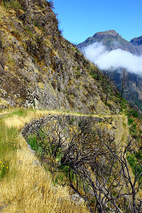 葡萄牙马德拉岛阳光生长地面爬坡蓝色风景村庄植被森林农场图片