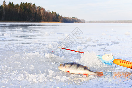 冰上冬季捕捞图片