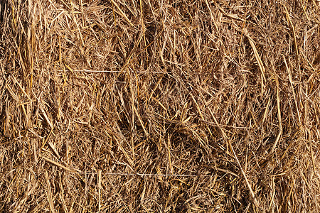 小麦残留物背景图片