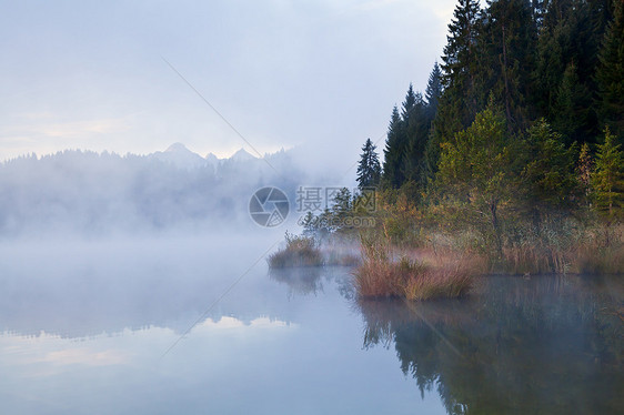 雾中高山林图片