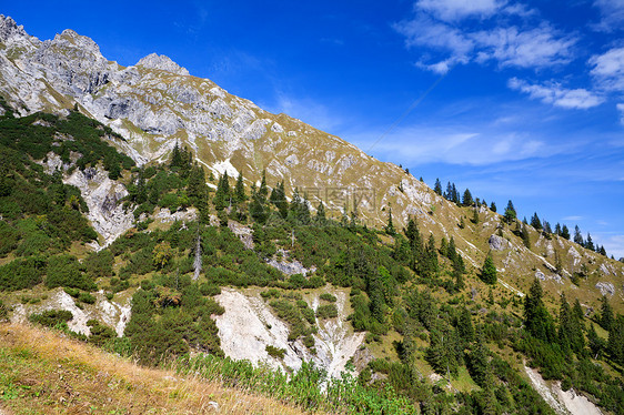 巴伐利亚阿尔卑斯风景高山针叶晴天荒野阳光石头植物群森林旅行图片