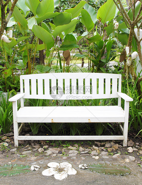 由木制白板制成绿化椅子园林衬套草地木头园艺季节座位孤独图片