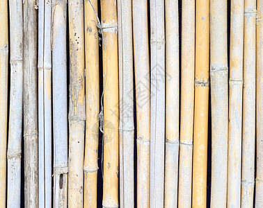 竹壁背景装饰枝条木头森林植物竹子风水热带树枝管道图片
