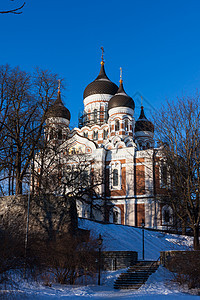 亚历山大·内夫斯基大教堂冬季视图图片