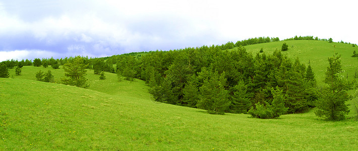 美丽的山丘景观全景 大草地和法林图片