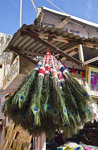 印度市场的孔雀羽毛图片