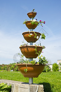 夏花园的花花瓶图片