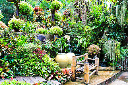 花园 位于泰国Doi Tung灌木绿化旅游植物绿色植物踪迹凹陷小路花语旅行图片