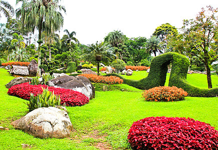 花园 位于泰国Doi Tung旅游绿化树叶凹陷园林绿色植物灌木小路植物花语图片