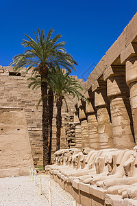 埃及卡纳克寺庙古老废墟法老建筑石头文字宗教象形雕塑纪念碑考古学雕刻图片