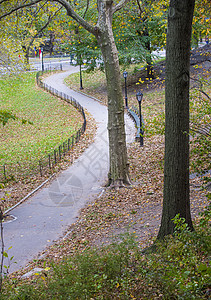 中央公园地标闲暇绿色黄色花园城市叶子石头公园图片