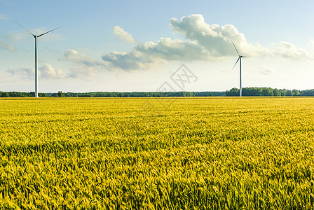 风风农场太阳螺旋桨农业刀刃环境气候蓝色技术创新涡轮图片