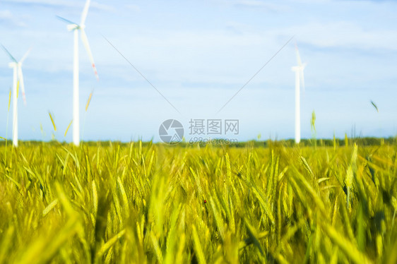 风风农场力量蓝色刀刃风力涡轮机气候日落农业发电机太阳图片