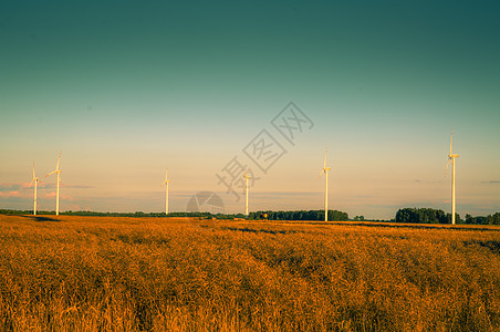 黄昏时的风涡轮照片风能发电机自然资源风车水平日出太阳绿色活力图片