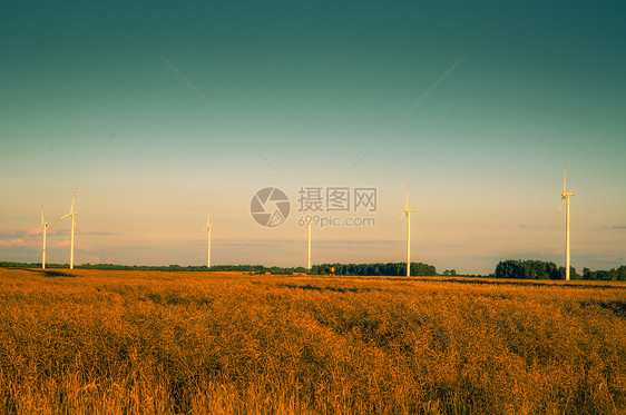 黄昏时的风涡轮照片风能发电机自然资源风车水平日出太阳绿色活力图片
