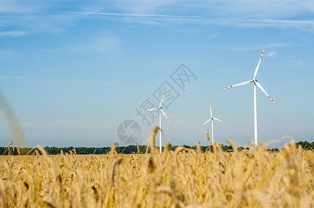 风风车天空金属绿色风车力量工业环境场地涡轮旋转图片