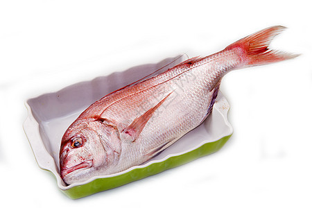 一只孤立在白色上的烘烤锡中的松鼠红鱼图片