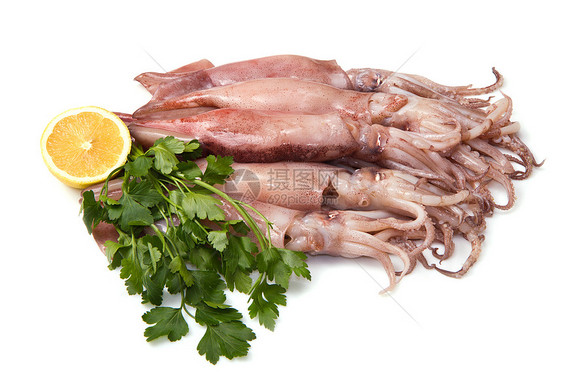 一组新鲜的鱿鱼 加柠檬和鹦鹉烹饪白色厨房触手海鲜探者生活棕色团体食物图片