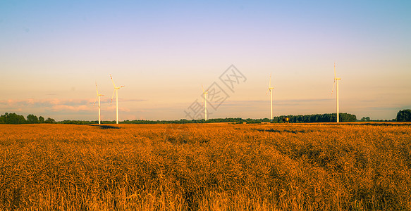黄昏时的风涡轮涡轮机风能天空力量环境风力红色绿色照片摄影图片