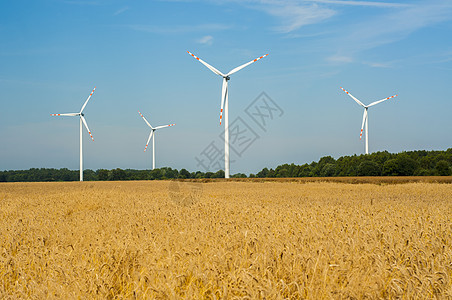 风风车技术涡轮绿色旋转白色螺旋蓝色天空场地刀刃图片