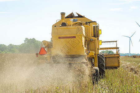 组合收割器农场收获电子金子工作收成面粉稻草场地生产图片