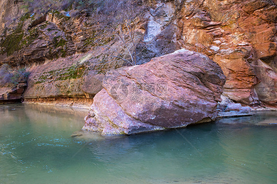 锡安公园岩石地质学石头远景旅游游客树木荒野国家蓝色图片