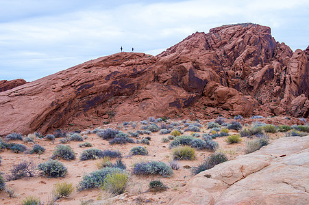 火谷风景沙漠地质学植物旅行爬坡衬套悬崖天空岩石图片