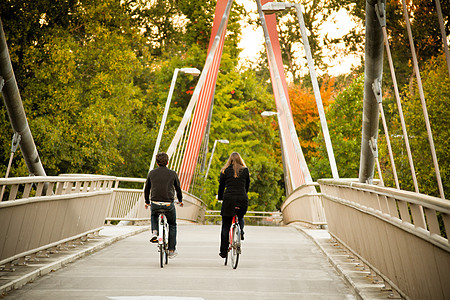 桥上两座自行车图片