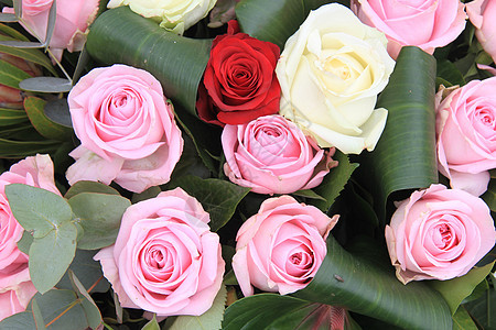 红色 白色和粉红玫瑰粉色花瓣植物学花束植物群花店玫瑰植物绿色花朵图片