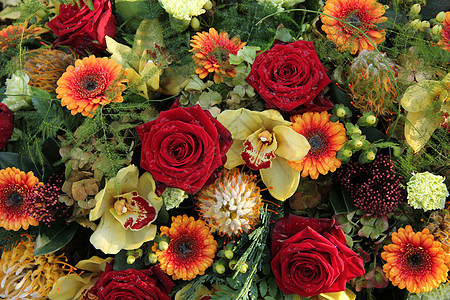 花朵安排中的玫瑰和兰花橙子植物花瓣绿色红色花束植物学植物群花店图片