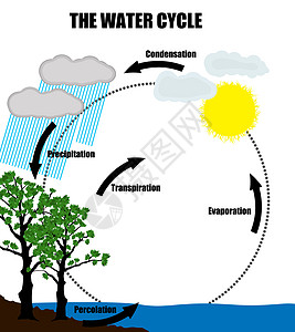 水循环在性质上的示意图表 水循环的性质图片