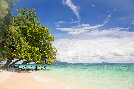 热带白沙滩国家全景天堂旅行公园珊瑚波纹天空森林蓝色图片