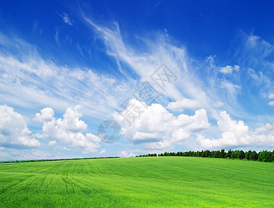 绿绿地生长阳光天气天堂草原蓝色天空农村远景地平线图片