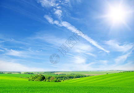 绿地和蓝天空土地生长农村季节场景天空太阳地平线天堂远景图片