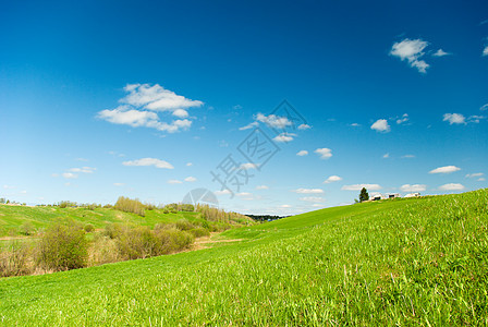 一片草原的景象图片图片