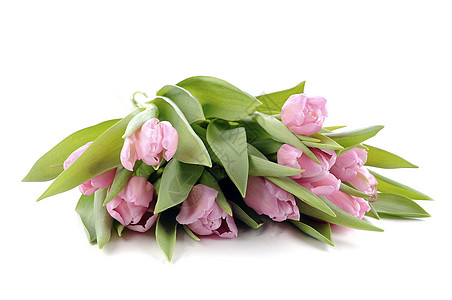 粉色郁金香植物花艺艺术床单白色团伙花朵花束植物学母亲背景图片