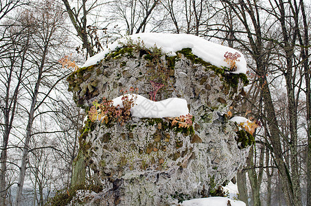 后退公园混凝土花盆特结雪冬图片