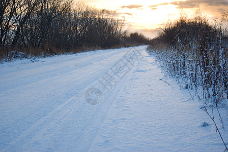 雪地乡村车道森林农村小路白色踪迹性质暴风雪气候国家场景图片