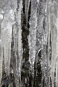山洞岩上的冰柱图片