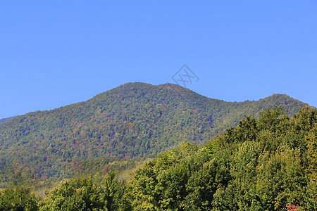 高加索绿色山脉的夏季风景景观绿色高度悬崖季节首脑旅行全景森林叶子木头图片