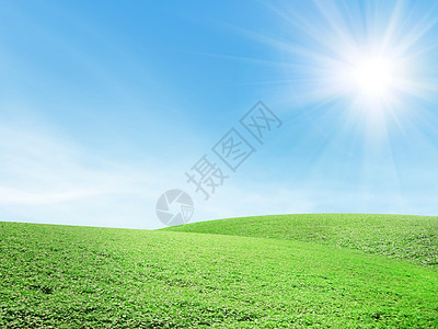 美丽的夏季风景草原草本植物天气草地日落场地阳光太阳蓝色植物图片