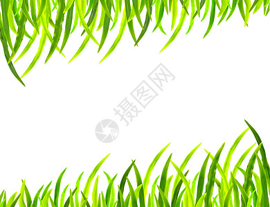 白色背景的草边边框植物正方形框架场地场景叶子边界网球农田飞机图片