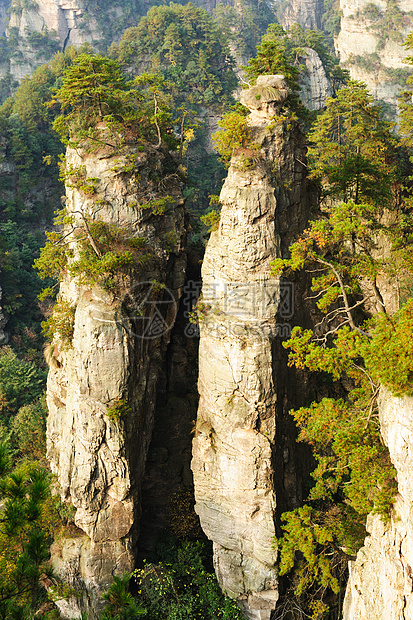 深山吸引力石头荒野植物悬崖旅游岩石爬坡顶峰旅行图片