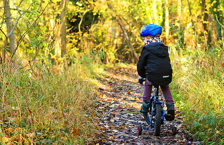 小男孩骑着自行车穿过林地小径森林骑术树木男生季节天空运动家庭孩子男人图片