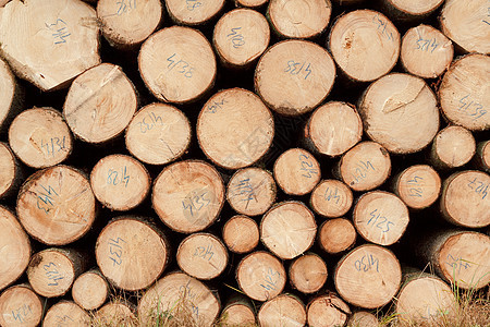木柴堆燃料植物乡村材料木头圆圈森林季节环境库存图片