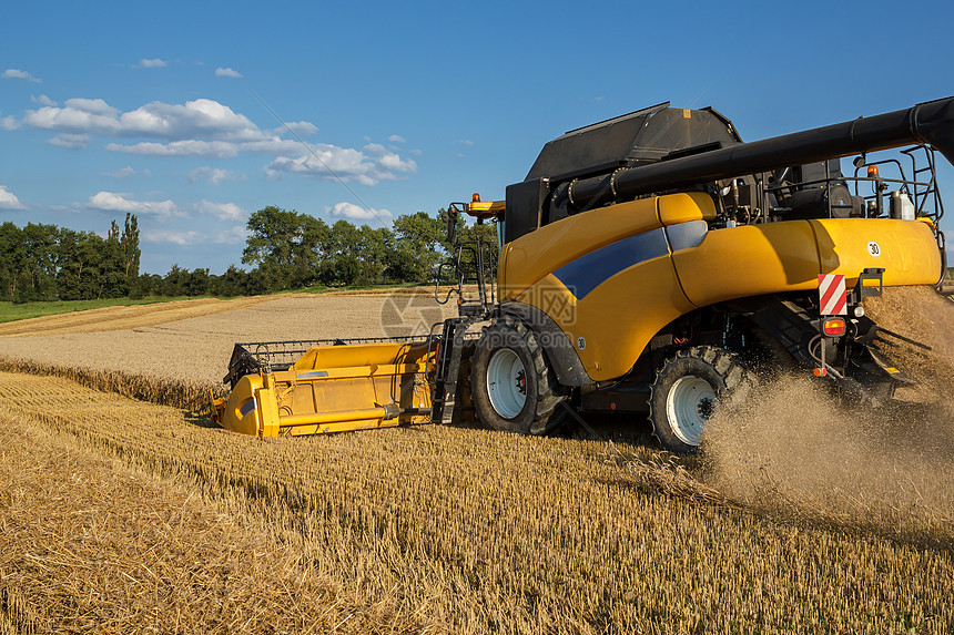 Yellov联合田间采金小麦天空劳动食物粮食场地收成机器稻草收获机械图片